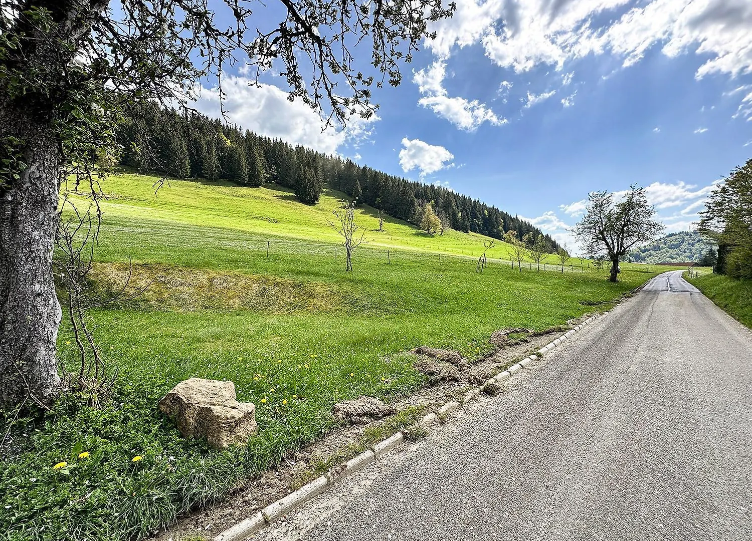 Baerenhoehle Oberstaufen Apartamento